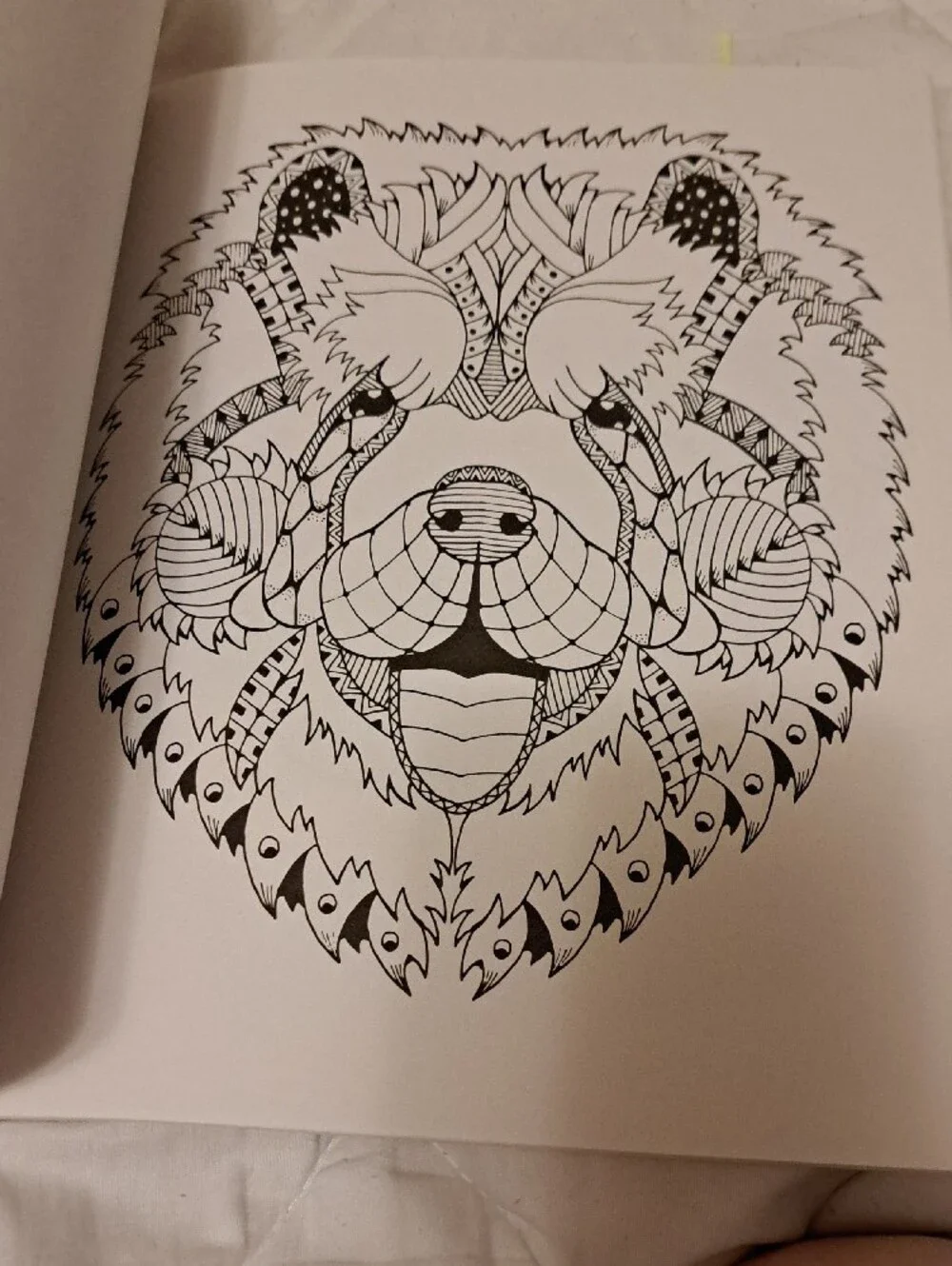 Colorama Delightful Dogs Coloring Book by Bullhead – Multicolor